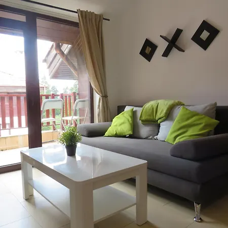 Flora Daisy Nr 28 * ボロヴェッツ