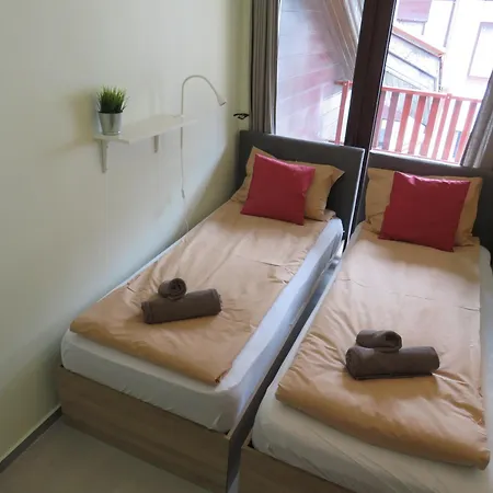 Flora Daisy Nr 28 * ボロヴェッツ