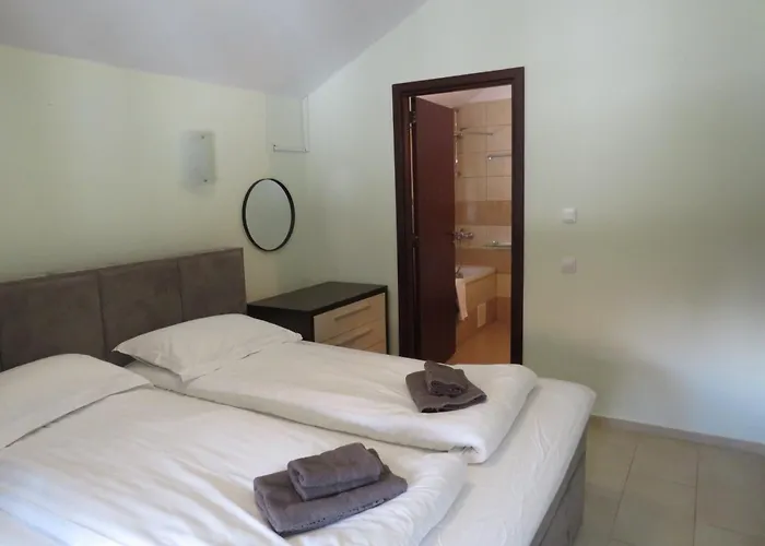 Flora Daisy Nr 28 Borowec