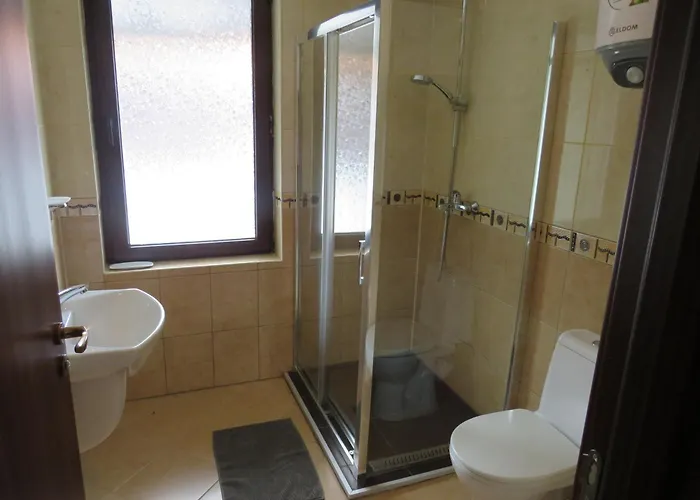 Flora Daisy Nr 28 Borowec