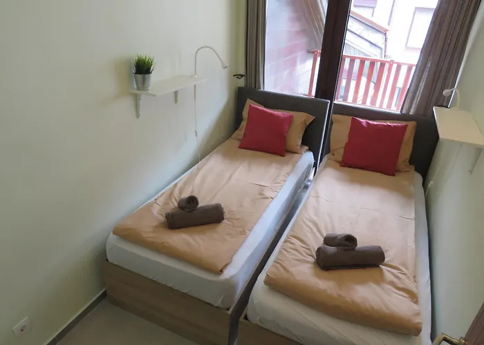 Flora Daisy Nr 28 * Borowec