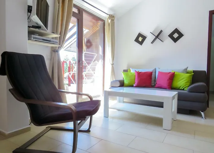 Flora Daisy Nr 28 Borowec